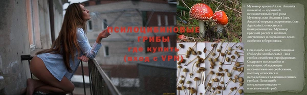 ALPHA PVP Дмитриев