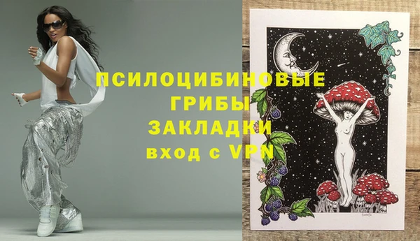 ALPHA PVP Дмитриев