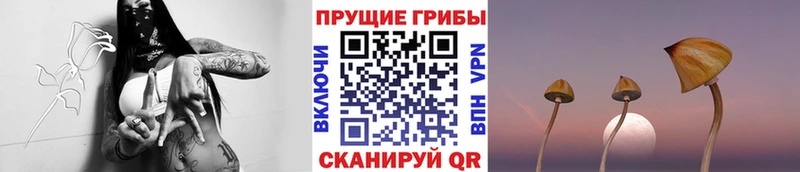 Псилоцибиновые грибы мухоморы  Шадринск 