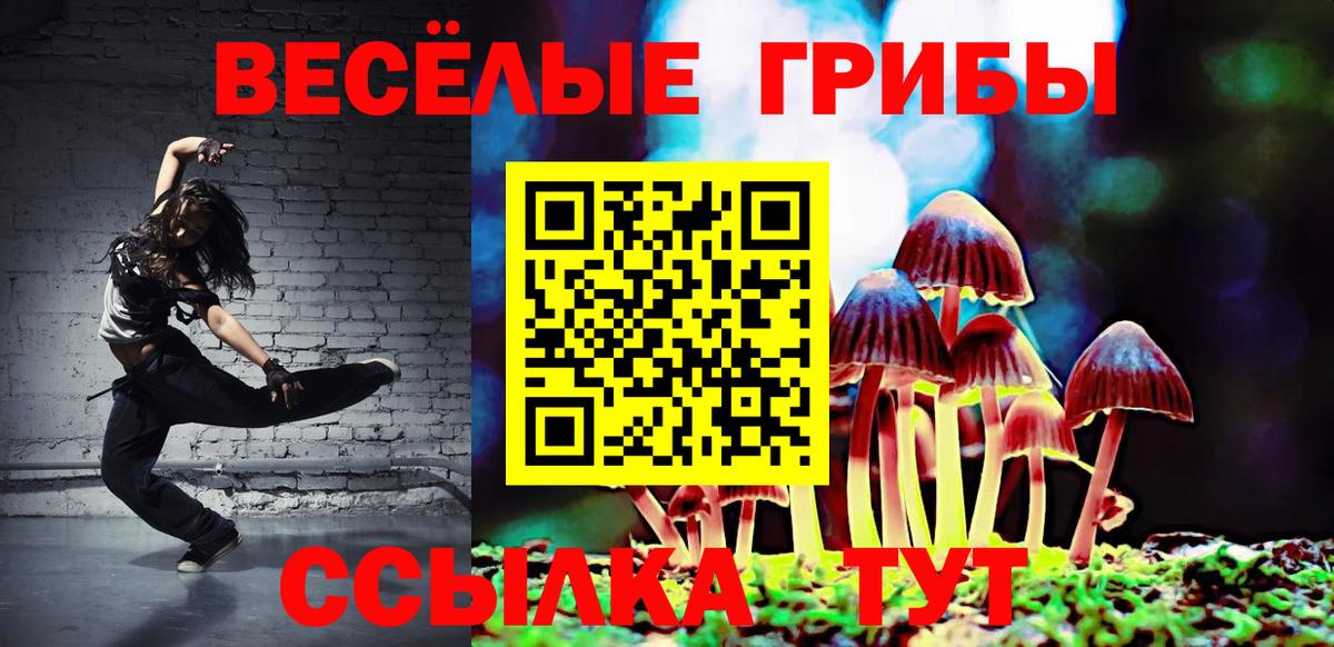 купить  сайты  Вход с VPN  Шадринск  Псилоцибиновые грибы MAGIC MUSHROOMS 